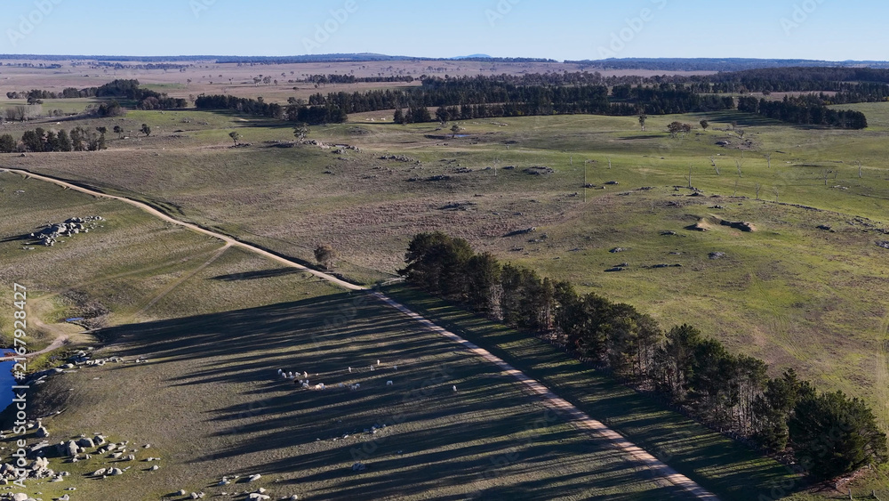 Fototapeta premium Aerial View of Rolling Green Hills and Countryside Dirt Road