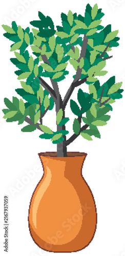 Vector Illustration of a Mediterranean Olive Tree in a Terracotta Vase