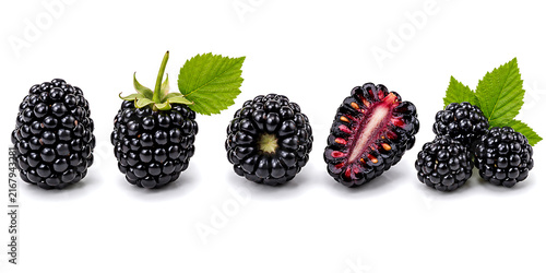 Fresh ripe blackberries with green leaves isolated on white background blackberry background isolated nutrition ingredient