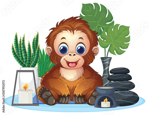 Cute Cartoon Baby Orangutan Sitting with Spa Stones and Tropical Plants