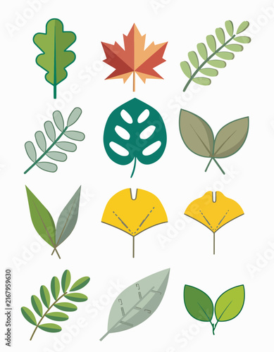 Colorful collection of stylized green and autumn leaves on white background.
