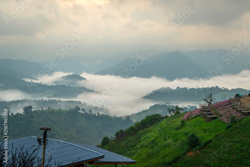 Foto Scenic view of sea of fog rolling over mountain valley in the morning at Mon Mork Tawan, Phop Phra, Tak, Thailand