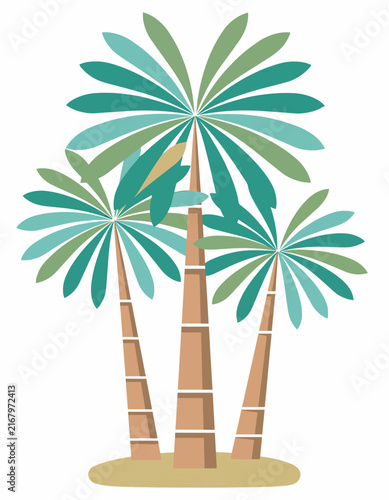Colorful palm tree plant in decorative ceramic pot.