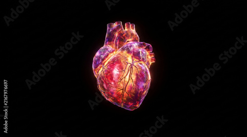 Glowing heart anatomy illustration on black background for medical science concept