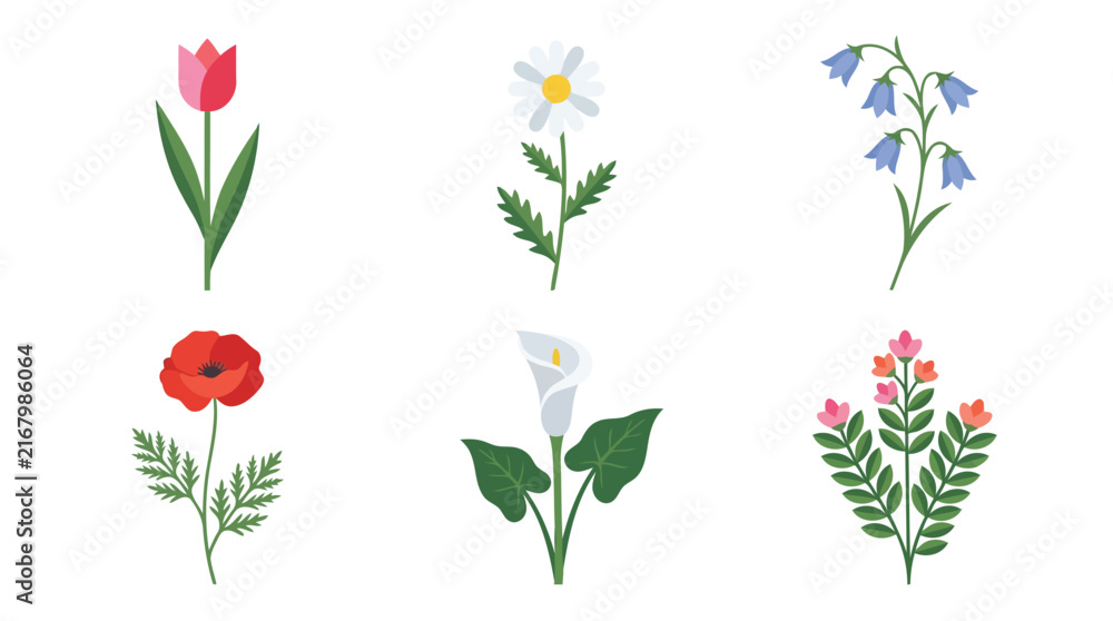 Fototapeta premium Adobe Illustrator Artwork