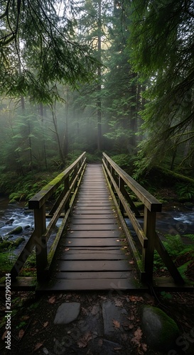 Rustic wooden bridge stretching over a serene stream in a misty, enchanted forest, surrounded by lush green trees and moss, peaceful nature landscape.