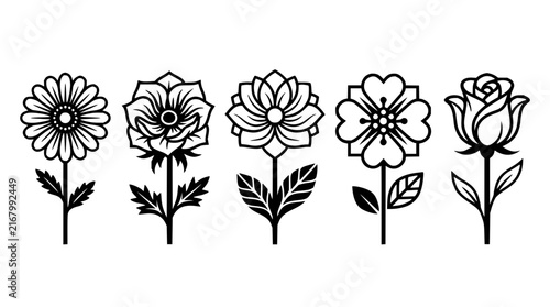 Flowers set with black and white line art featuring daisy, rose, peony, anemone, and blossom with floral details and botanical elements