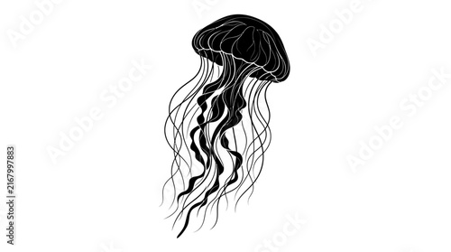 Black and white jellyfish line art illustration isolated on a white background.