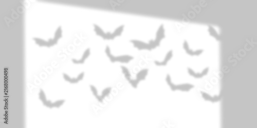 Cuadro en lienzo Soft gray shadows of flying bats on a white wall isolated on transparent backgro