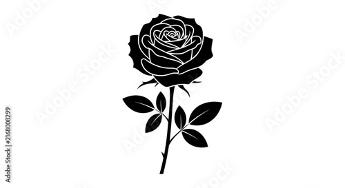 Minimalist solid white background for graphic design, web development, and digital art projects. Plain high-resolution canvas with clean, bright surface and copy space.