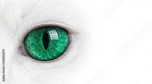Close-up macro photography featuring the piercing vibrant emerald green feline eye of a white furred cat highlighting intense gaze and detail