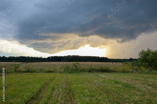 Foto A dark storm cloud hangs over an open field and distant forest, revealing bright sunlight and a downpour