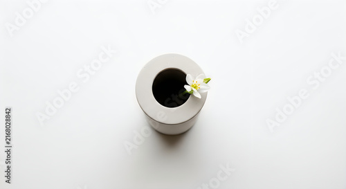 Minimalist vase with single white flower on plain surface