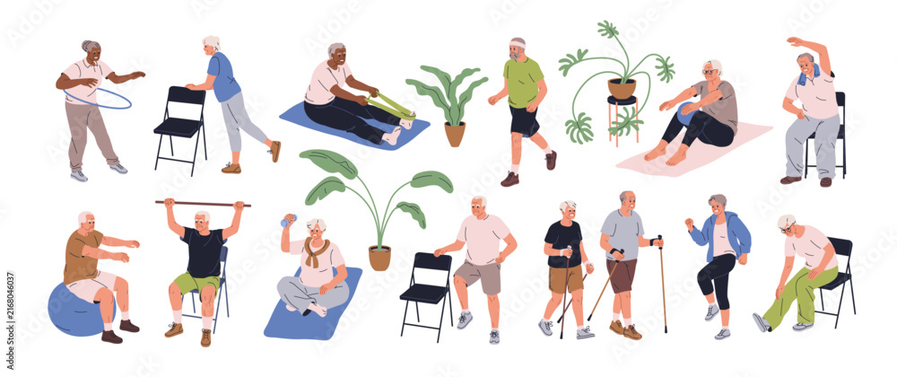 Naklejka premium Active senior people do sport exercises set. Healthy elderly men and women during workout, fitness training. Old-aged characters walking, jogging. Flat vector illustration isolated on white background