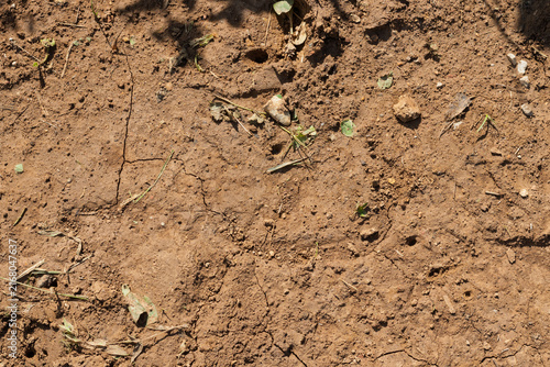 Konstfotografi the background for graphic works consists of the surface soil of the soil on a m