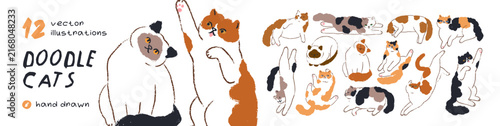 Doodle cats, cute vector animals, pets set. Cute cat characters, doodle line art drawings. Funny kitties pets, happy kittens sitting, sleeping, stretching and lying. Flat vector illustrations