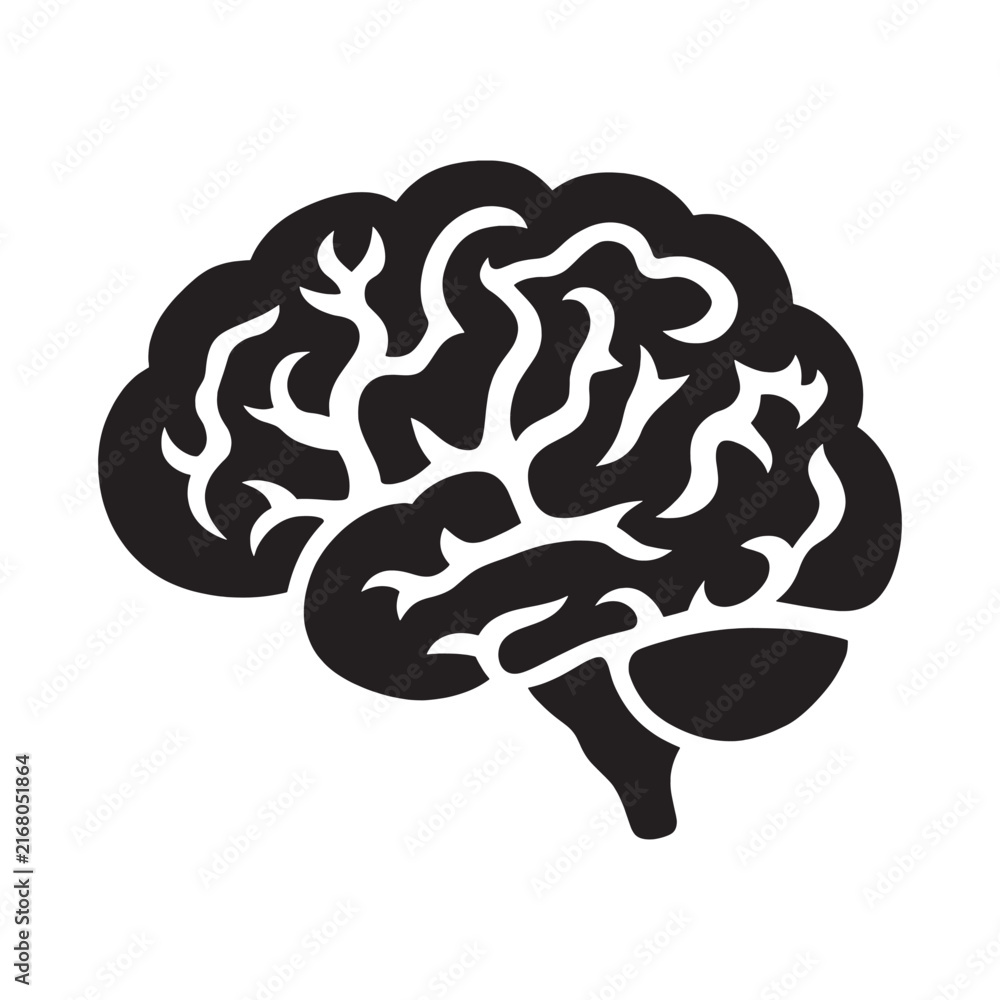 Fototapeta premium Human brain anatomy silhouette icon isolated on white background with silhouette intelligence psychology neuroscience healthcare brainstorm illustration isolated cognition thinking neurology