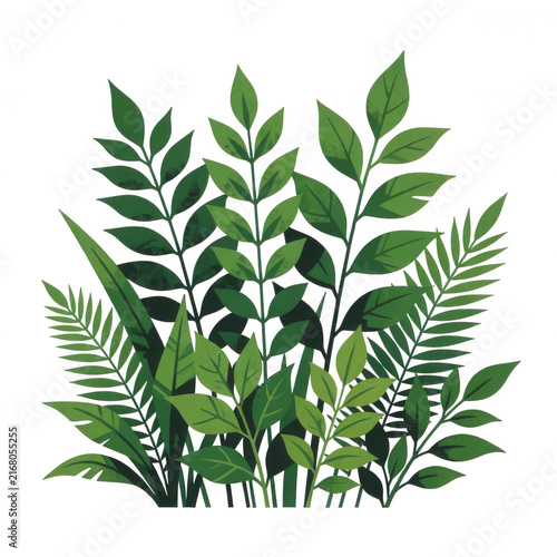 Green Leafy Plant Cluster Transparent Background