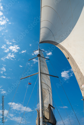 Curved white sail towering above a sailing yacht under a blue sky. Wind powered sailing and freedom on the open sea.