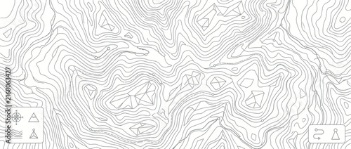 Topographic Map Contour Lines with Navigation Icons