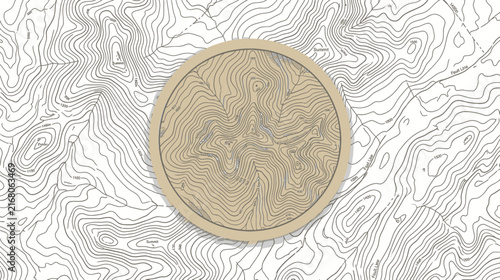 Topographic Map Contour Lines Abstract Graphic