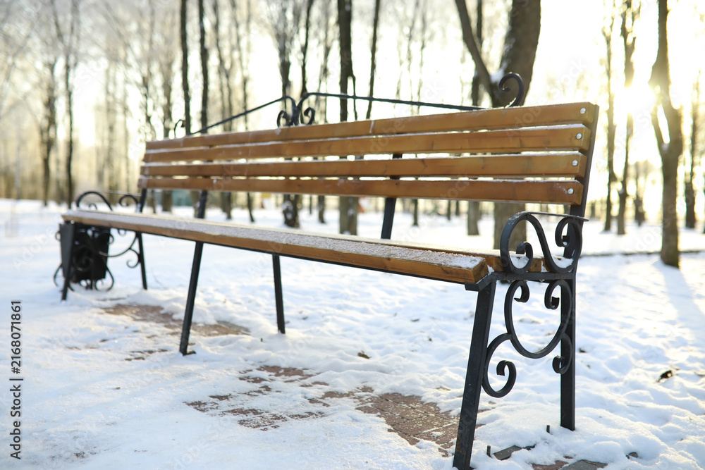 Fototapeta premium park bench on a winter alley at snowfall. bench with snow after snowstorm or in snow calamity in europe