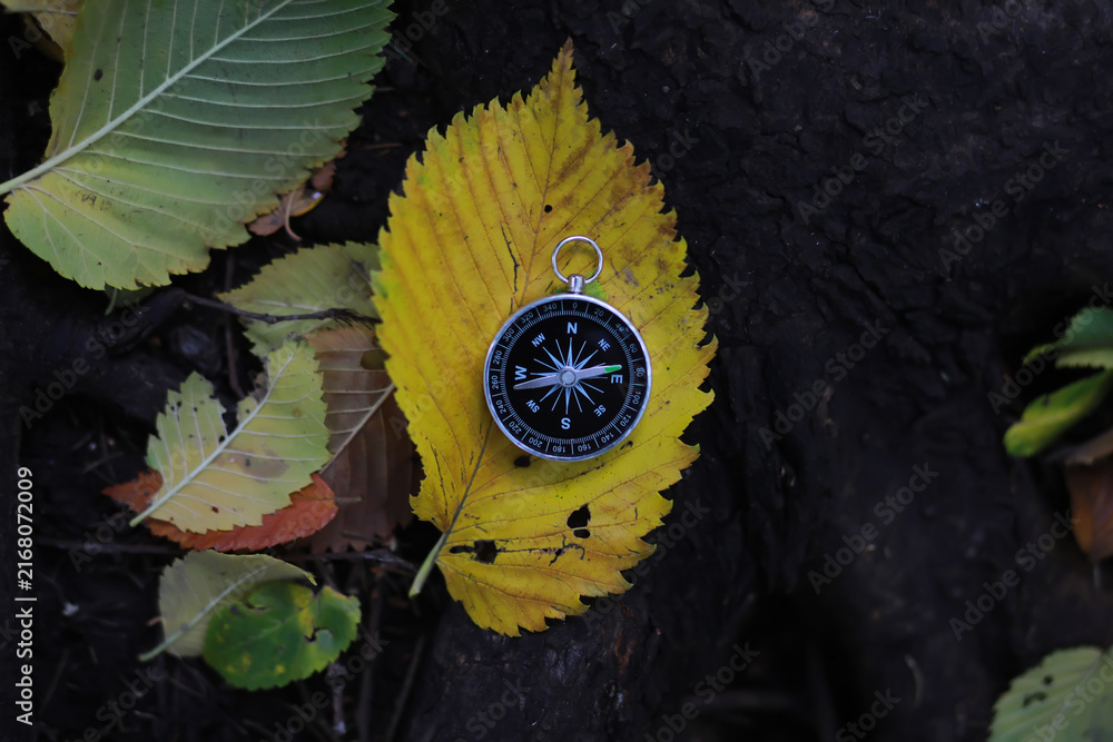 Fototapeta premium A compas lying on the wood surrounded by autumn leaves