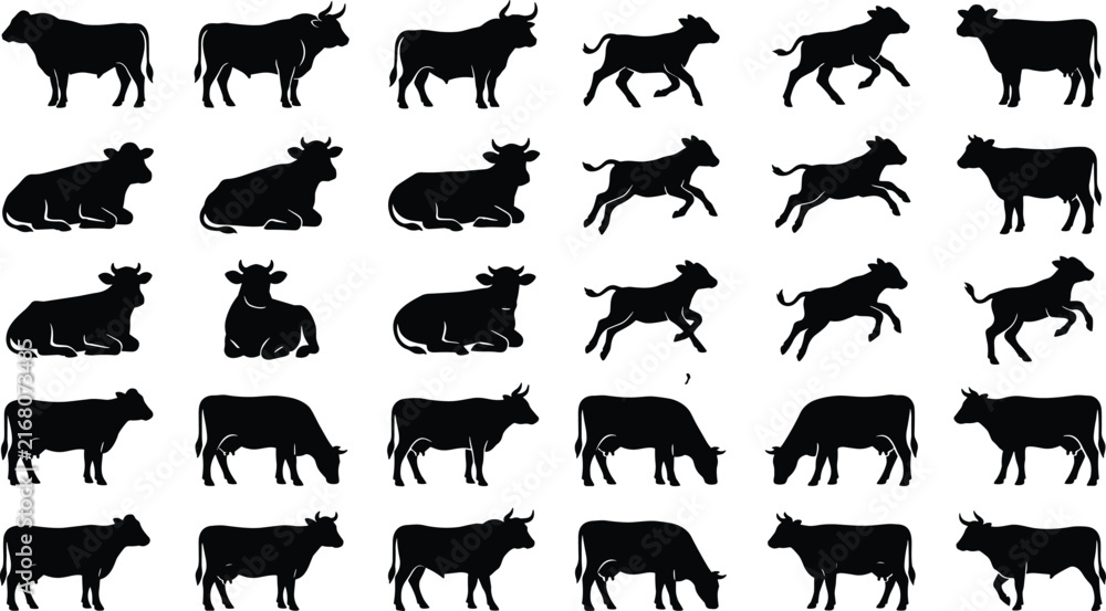 Obraz premium Set of black silhouette cows, bulls, and calves in various poses on white background