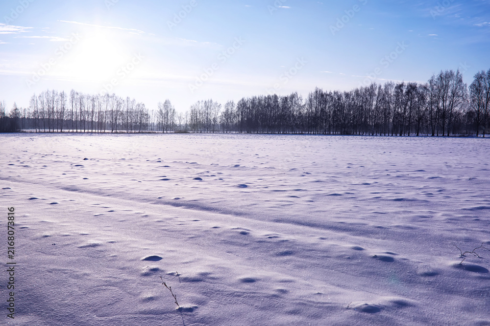 Fototapeta premium The forest is covered with snow. Frost and snowfall in the park. Winter snowy frosty landscape.