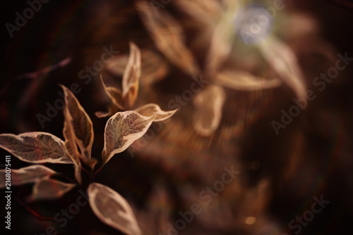 Konstfotografi Beautiful Nature Autumn landscape