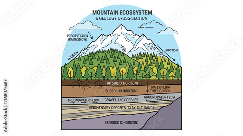 Mountain Ecosystem Geology Cross Section Illustration