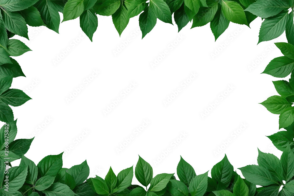 Fototapeta premium Rectangular Green Leaf Border Frame