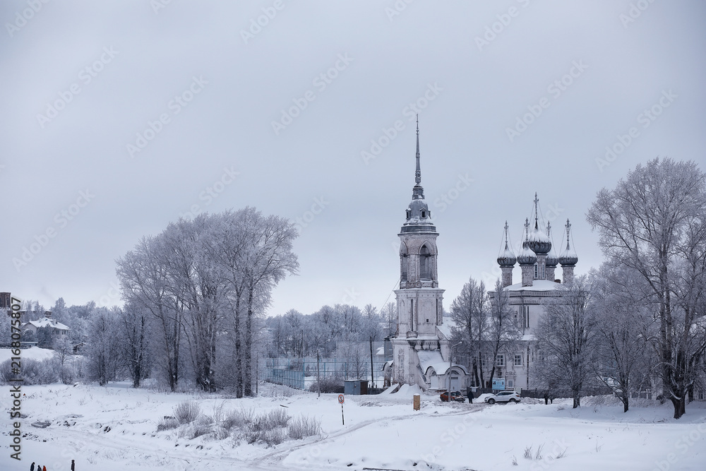 Fototapeta premium Winter forest landscape. Tall trees under snow cover. January frosty day in the park.