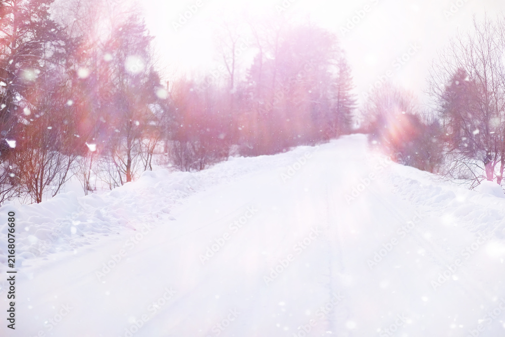 Fototapeta premium Tall trees under snow cover. January frosty day in winter park.