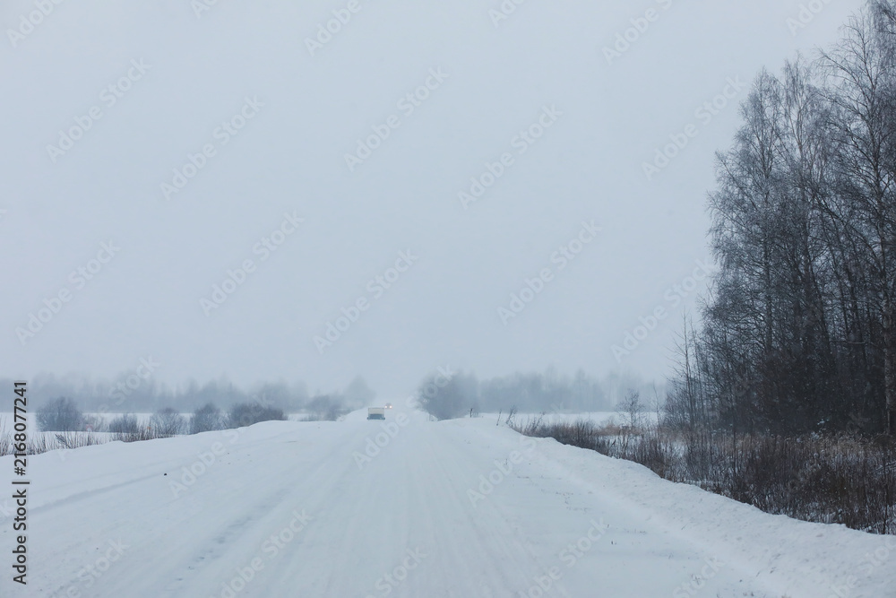 Fototapeta premium Winter snowy frosty landscape. The forest is covered with snow. Frost and fog in the park.