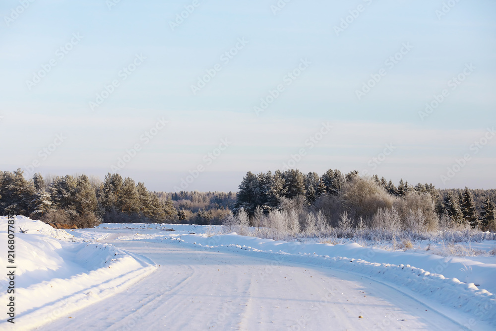 Fototapeta premium Winter snowy frosty landscape. The forest is covered with snow. Frost and fog in the park.