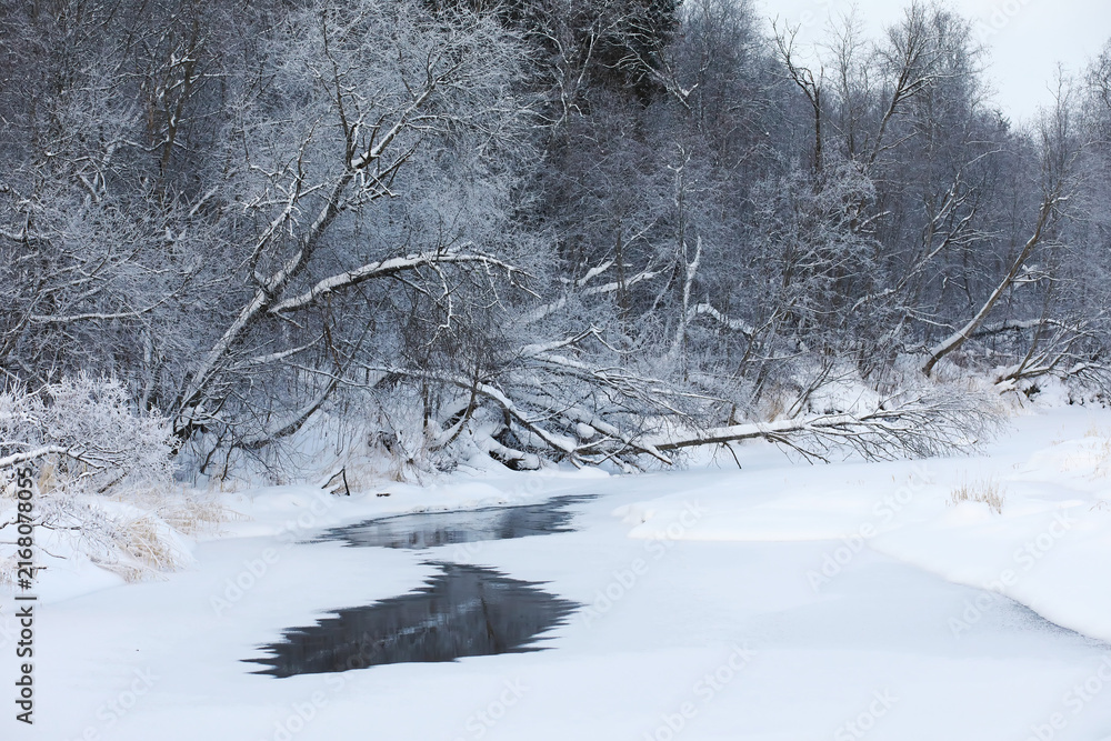 Fototapeta premium Winter snowy frosty landscape. The forest is covered with snow. Frost and fog in the park.