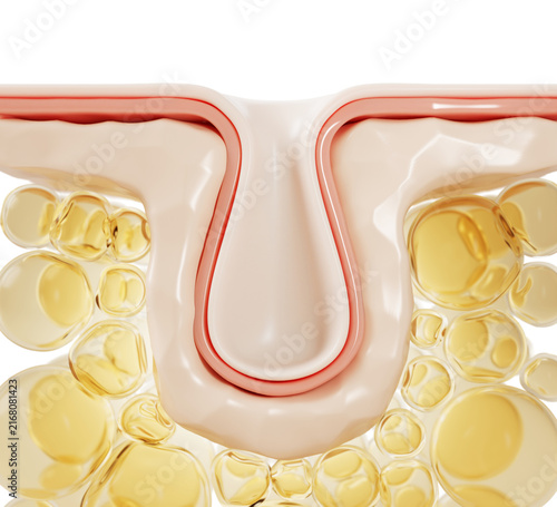 Fotografía Gold lipid layer of epidermis with clean skin pore or wrinkle
