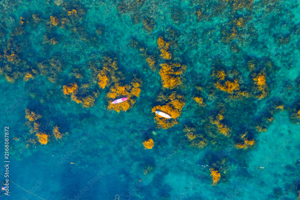 Fototapeta premium Aerial view of vibrant golden seaweed underwater with paddle boards in Nhon Hai, Binh Dinh province, Vietnam