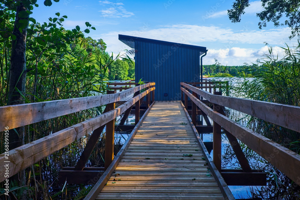 Obraz premium Wooden boardwalk leading to a modern gray boathouse or lakeside cabin surrounded by green reeds. Scenic summer landscape, Scandinavian architecture and travel concept.