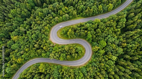 Path bends where nature meets journey.
