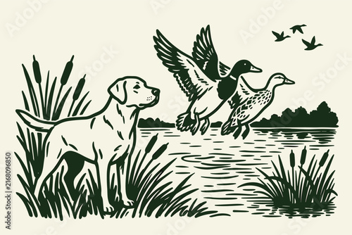 Vintage woodcut hunting scene with labrador retriever and flying mallard ducks. Retro outdoor wildlife illustration. Rustic lake landscape.