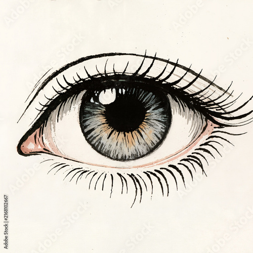 Detailed Hand Drawn Ink and Watercolor Illustration of Human Eye