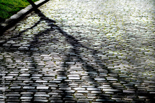 shadows of a tree on the cobblestones