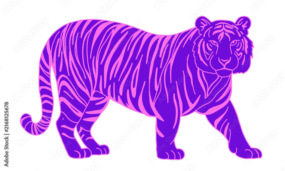 Obraz premium Vibrant purple and pink tiger illustration with striking stripes walking pose isolated on transparent background for creative graphic design projects, wild animal wildlife art vector asset