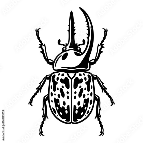 Black and white illustration of a rhinoceros beetle.