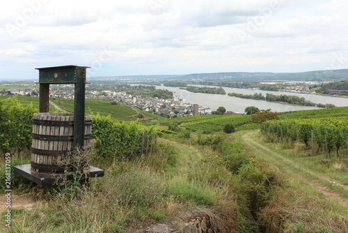 Fotografie Vineyard landscape with old wine press overlooking a German town and river