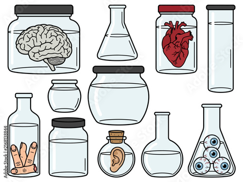 Bild auf Leinwand Lab Glassware with Preserved Human Organs and Body Parts