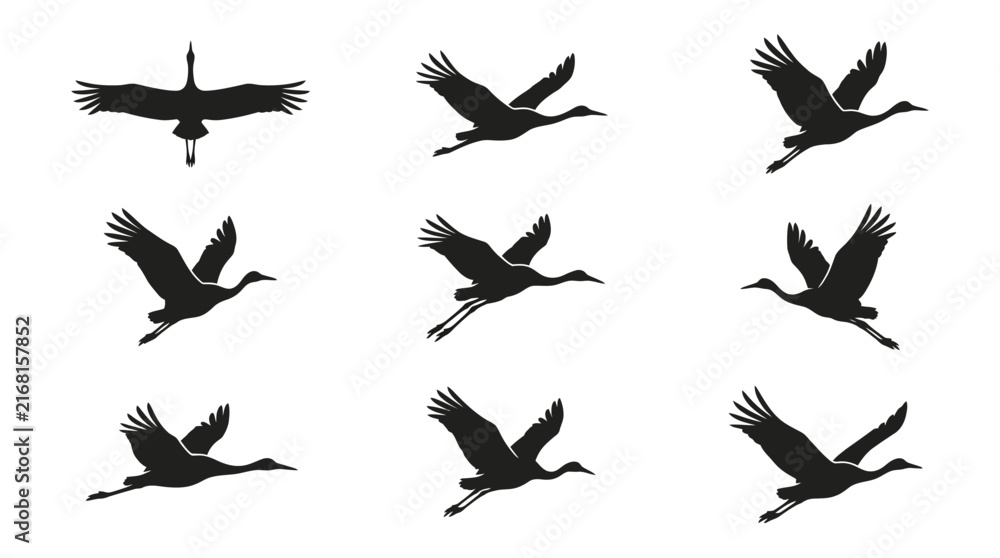 Naklejka premium Elegant crane and stork silhouettes in flight.