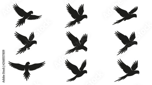 Tropical parrot and macaw bird silhouettes.